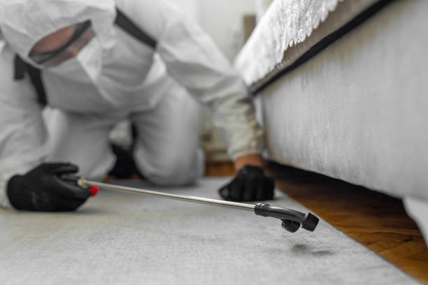 Professional Pest Control technician working in Bartonville, TX