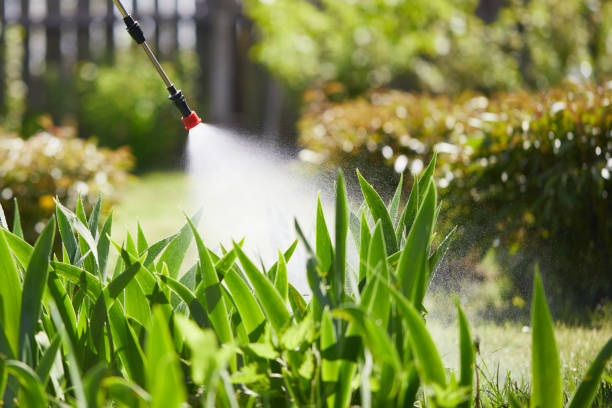 24/7 Emergency Fumigation Services experts in Bartonville, TX